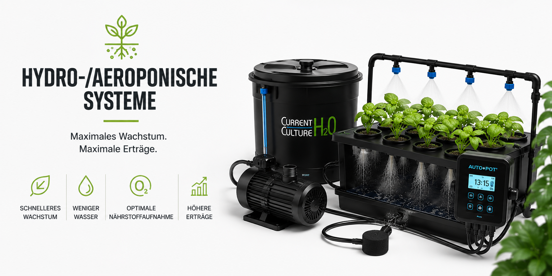 Hydro-/Aeroponische Systeme