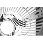 Preview: Twister T4, Erntemaschine & Sauger, für feuchte und trockene Ernte (Standard) - SINGLE SPEED