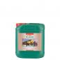 Preview: Canna Coco A+B 2x5L