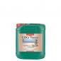 Preview: Canna Cogr Flores A+B 2x5L