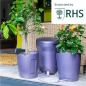 Preview: AUTOPOT Khloris Watering System Blackberry