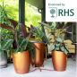 Preview: AUTOPOT Khloris Watering System Copper