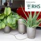 Preview: AUTOPOT Khloris Watering System Sage