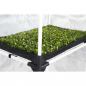 Preview: PROPAGATOR L | 60x40x200 cm | Anzuchtbox | Garden Highpro
