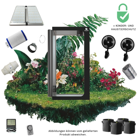 Caluma Set - 4 Plants (120 x 120, 320 W)