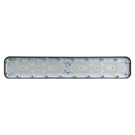 Perfand LED Horti 2