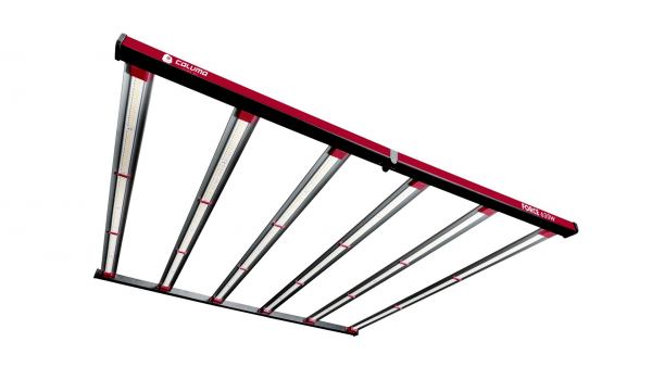 Caluma LED Force Pro 630 W