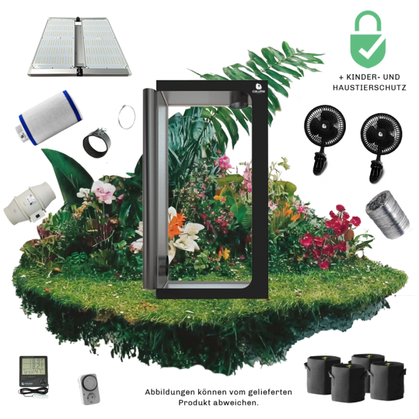 Caluma Set - 4 Plants (120 x 120, 320 W)