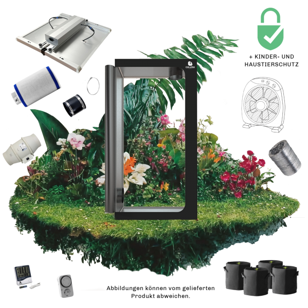 Caluma Set - 4 Plants Premium (120 x 120, 320 W)