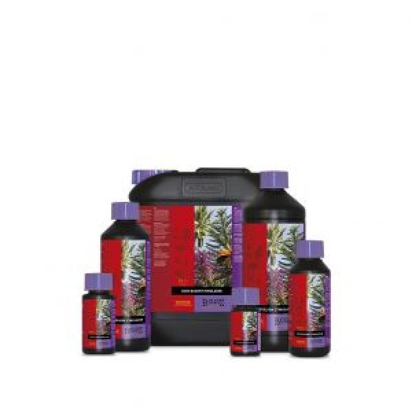 Atami B´Cuzz Coco Bloom Stimulator 1 l