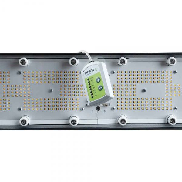 Perfand LED Horti 2