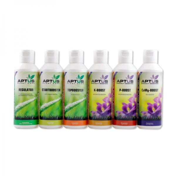 Indoor Set Pro 6x 150 ml