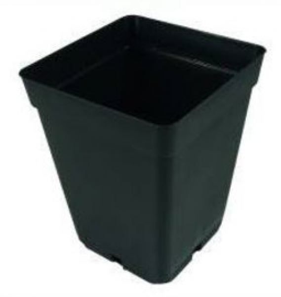 Topf, 13 x 13 x 13 cm, 1.55 L.