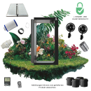 Caluma Set - 4 Plants (120 x 120, 320 W)