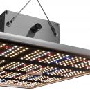 Caluma LED Force 240 W