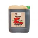 Bio Hesi Bloom 5L
